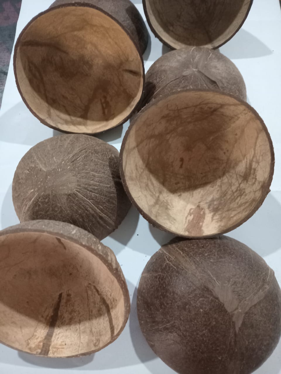 Coconut Shell Bowls